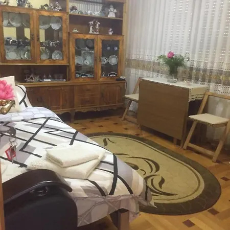 Ticu Guest house *