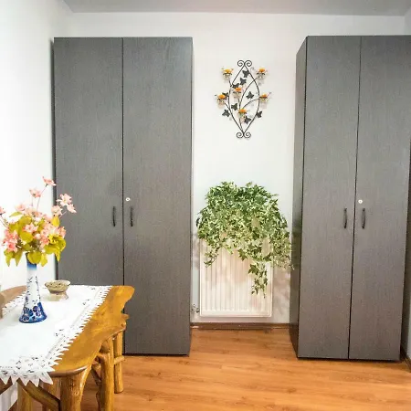 Guest house Ticu