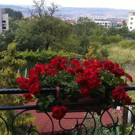 Guest house Ticu