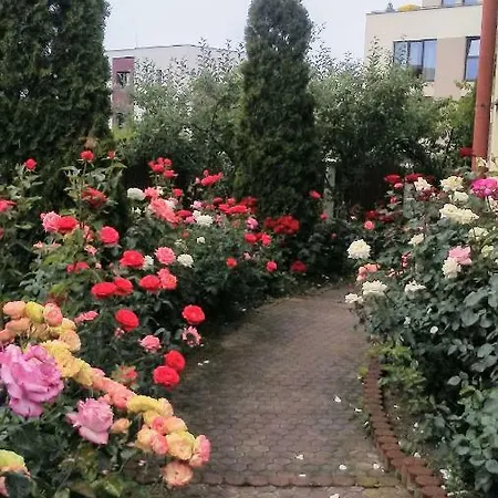 Ticu Guest house